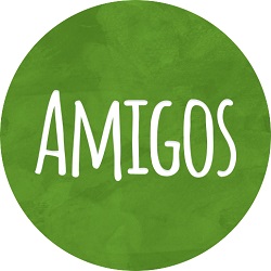 Logo Amigos for Children Foundation