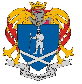 Historical coat of arms with a knight