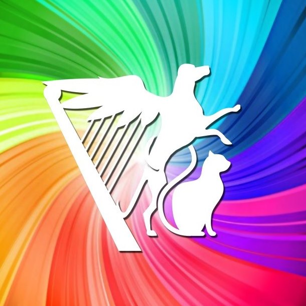 Tábor Shelter, organization for helping dogs and cats.