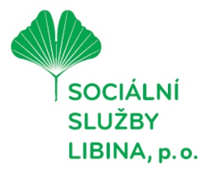 Name: Social Services Libina, p. o. Organization type: Social service provider